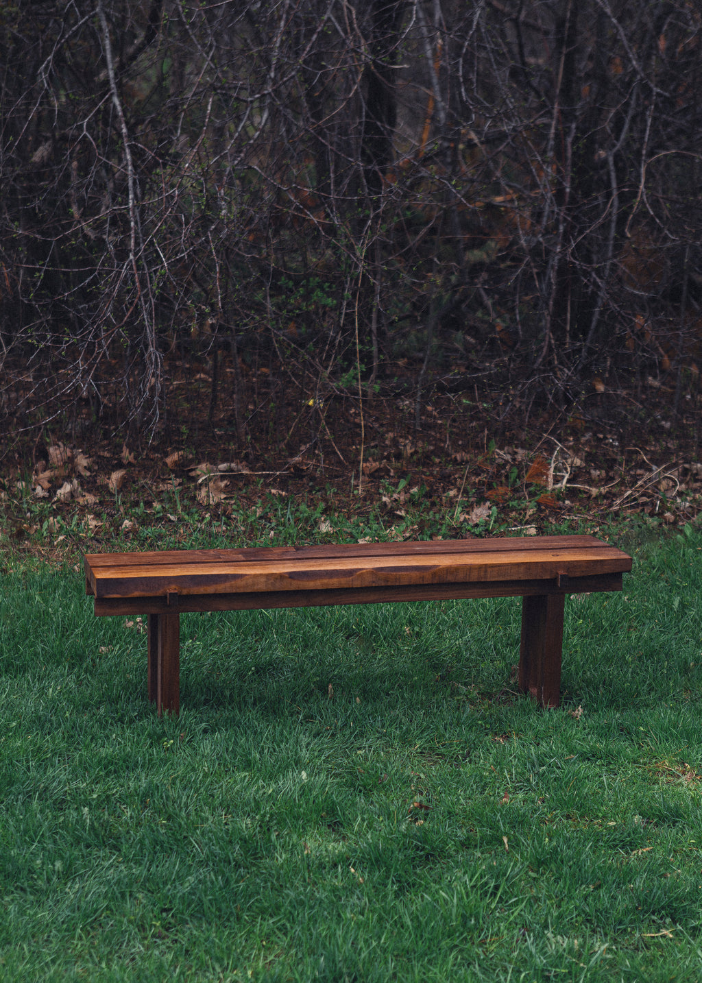 Temple's Bench