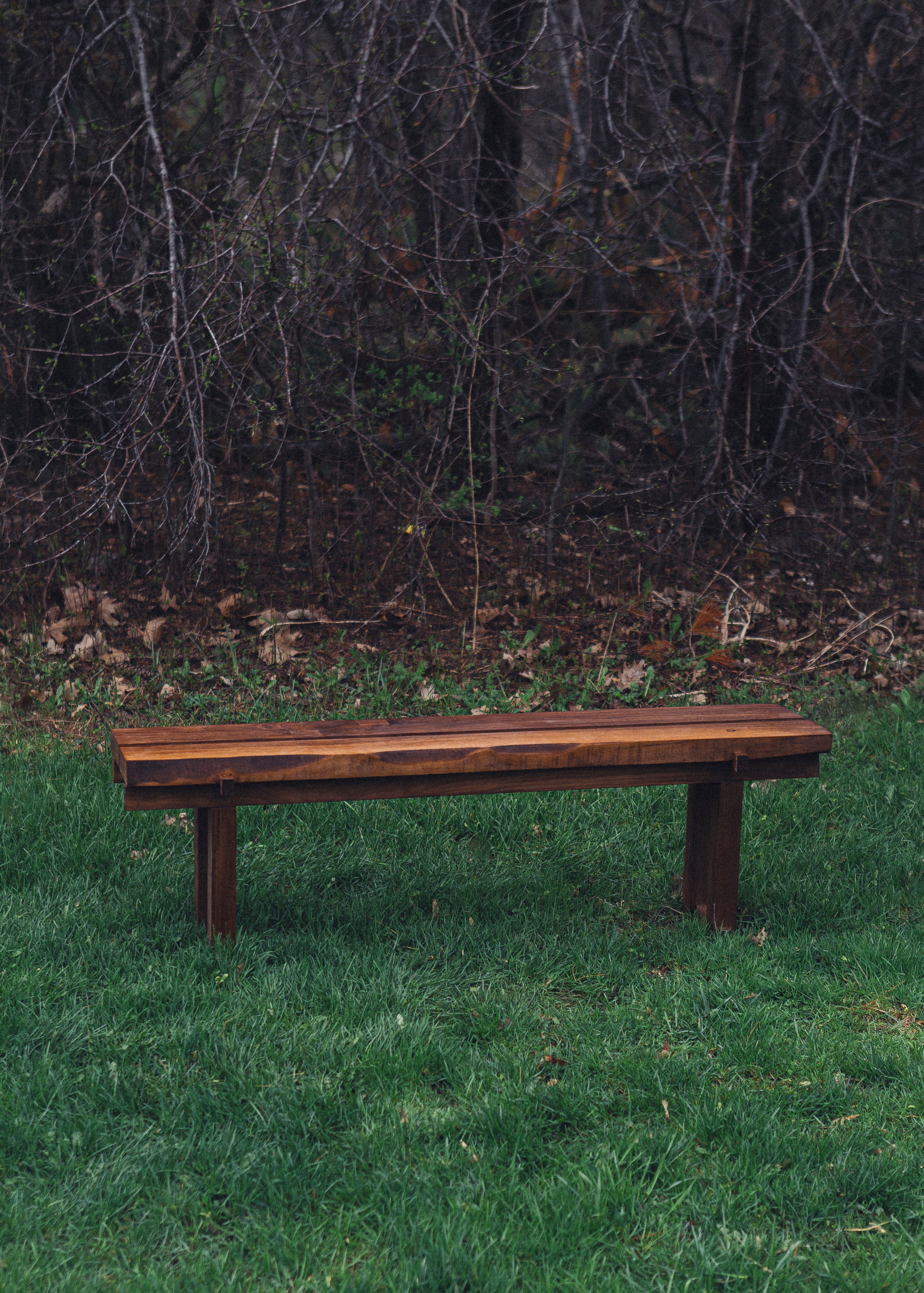 Temple's Bench
